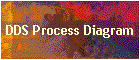 DDS Process Diagram